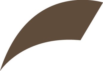 forMen Socks - Brown