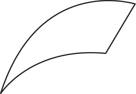 forMen Socks - White